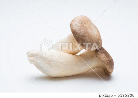 エリンギ エリンギ 6135806