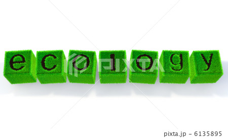 キューブ型のエコイメージ キューブ型のエコイメージ 6135895