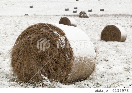 雪が雪原に干し草ロールをカバー 6135978