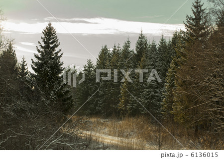 初雪と林道 6136015