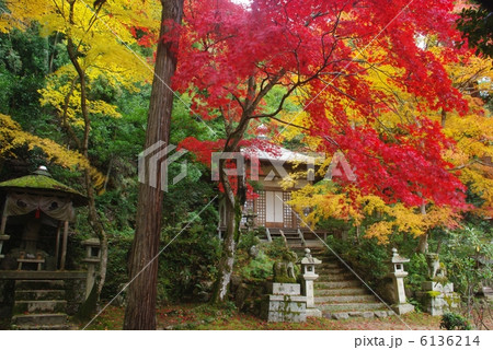 紅葉の護法堂弁財天 6136214