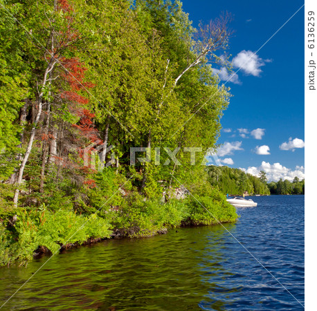 Beautiful lake of Toronto 6136259