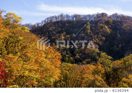 大山の紅葉 6136394