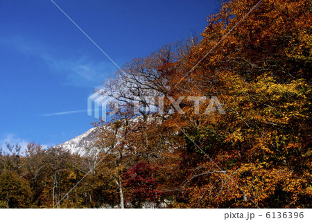 大山の紅葉 6136396