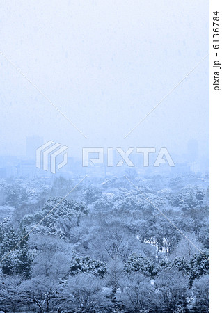 東京の雪景色 6136784