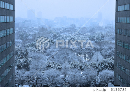 東京の雪景色 6136785