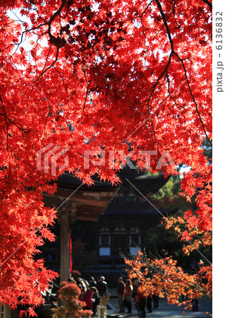 西明寺紅葉 西明寺紅葉 6136832