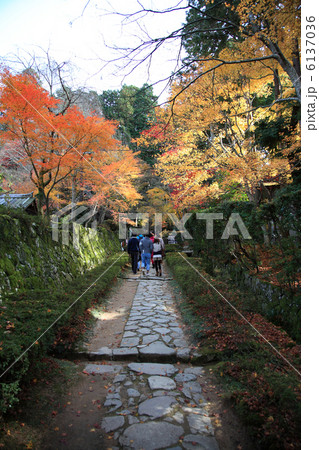 金剛輪寺参道 6137036