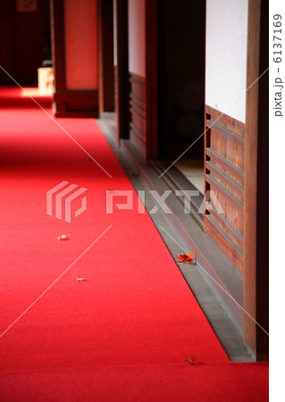 金剛輪寺水雲閣庭園 6137169