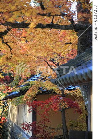 西明寺表参道 6137257