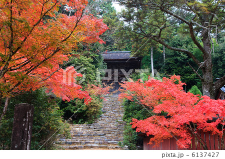 京都 神護寺の秋 京都 神護寺の秋 6137427