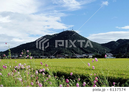 コスモスの咲く農道から望む常山 コスモスの咲く農道から望む常山 6137574