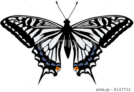 アゲハ蝶のイラスト素材 6137712 Pixta