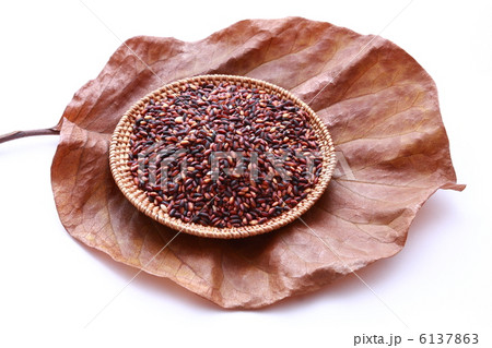 モクレンの落葉に乗せた古代米（白背景） 6137863