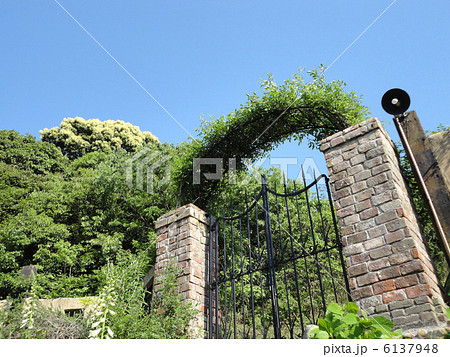 緑と煉瓦の門扉 6137948