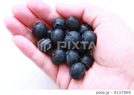 手の平の摘み立てのブルーベリー(白背景) 手の平の摘み立てのブルーベリー(白背景) 6137969