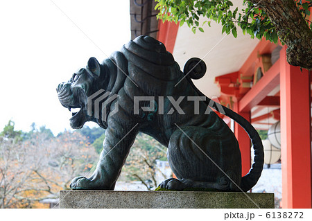 鞍馬寺の阿吽の虎 6138272