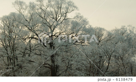 信州の冬 信州の冬 6138479