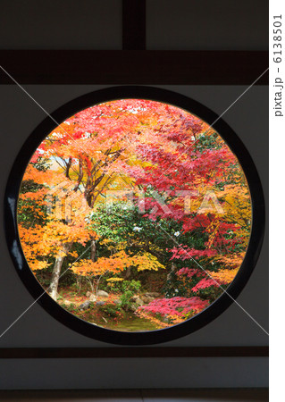 源光庵の紅葉 6138501