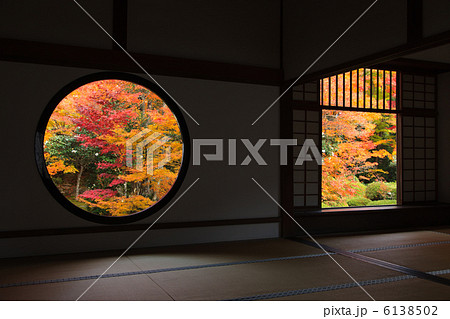 源光庵の紅葉 6138502