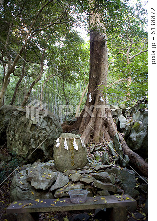 和多都美神社豊玉姫墳墓（御陵） 6138872