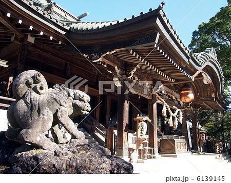 筑波山神社 6139145