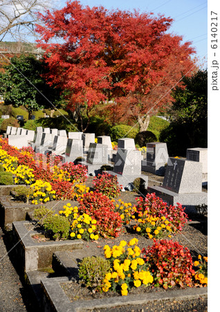 霊園の秋の風景 霊園の秋の風景 6140217