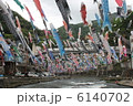 鯉のぼり 6140702