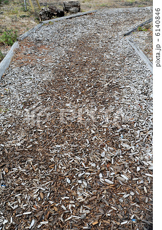 木材チップの道 6140846