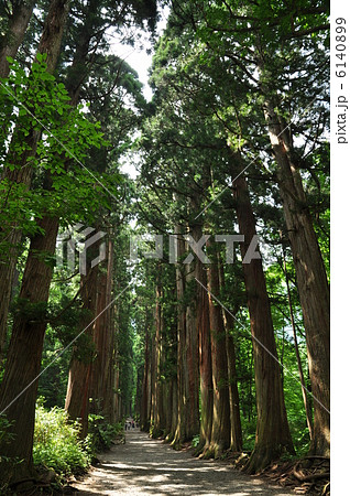 戸隠神社奥社への道 6140899