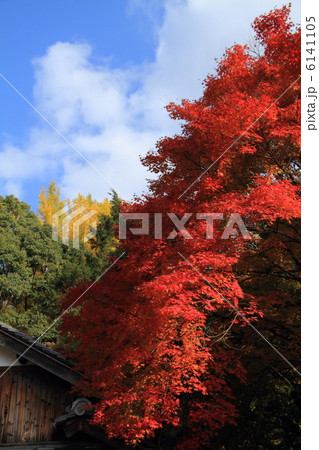 龍野聚遠亭 6141105