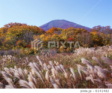 秋の八甲田・田代平 秋の八甲田・田代平 6141482