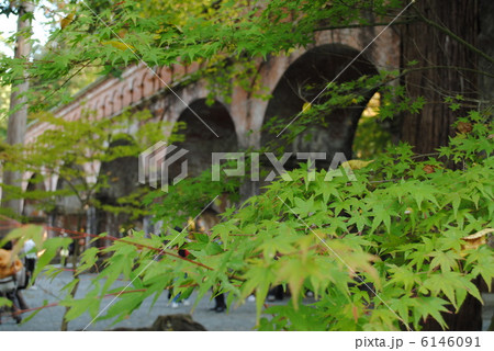 南禅寺水路閣 6146091