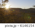 アリゾナの朝 1 6146154