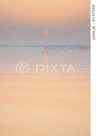 琵琶湖の日の出 6147089