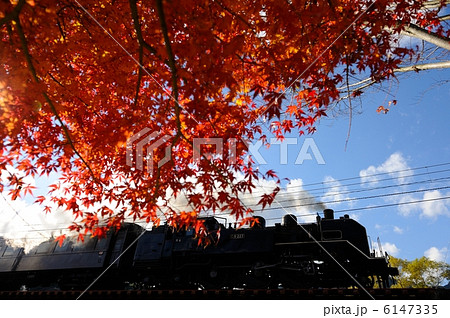 もみじとＳＬ 6147335