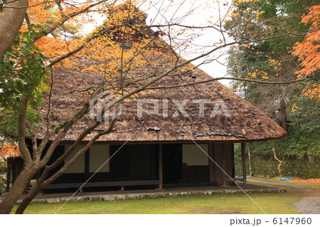 藁葺き屋根の民家 藁葺き屋根の民家 6147960