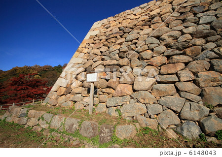鳥取城・二の丸三階櫓台 6148043