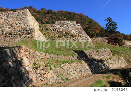 鳥取城・石垣 6148045