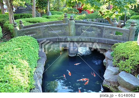 浅草寺　石橋 6148062