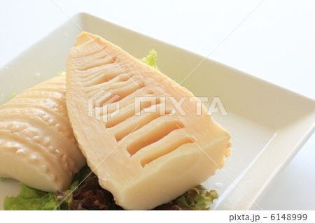 春野菜の筍の写真素材