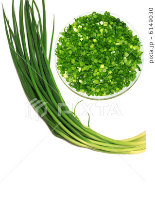 万能ねぎ 6149030