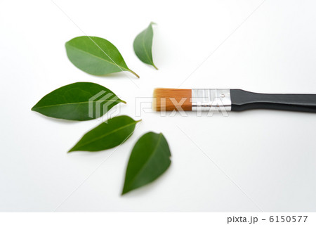 筆と葉 筆と葉 6150577