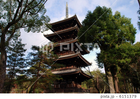 仁和寺五重塔 6151379