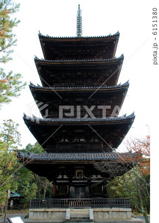 仁和寺五重塔 6151380