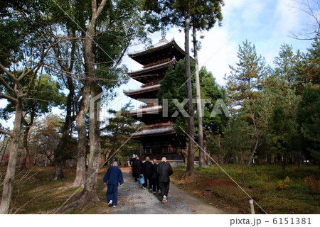 仁和寺五重塔 6151381