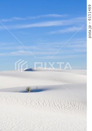 ホワイトサンズ国定公園 6151469