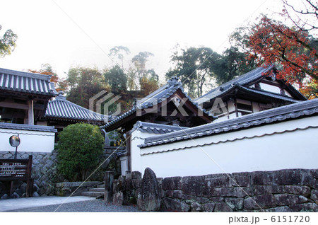 光明禅寺　山門 6151720