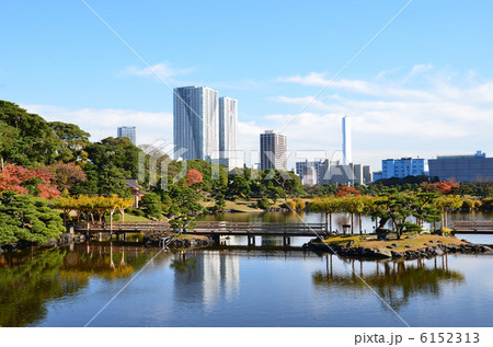 潮入の池 6152313