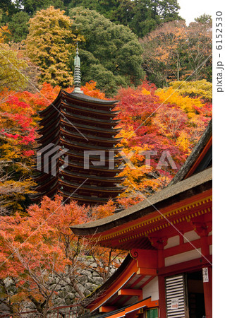 談山神社　紅葉に包まれる十三重塔と神廟拝所　縦位置 6152530